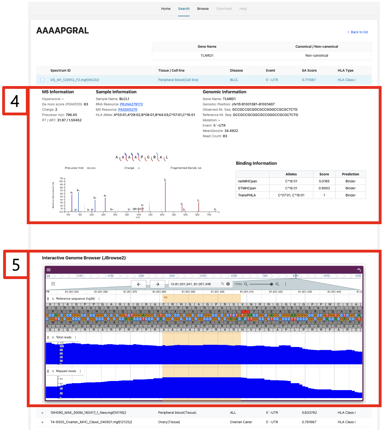 Details: spectrum, binding, and genome view