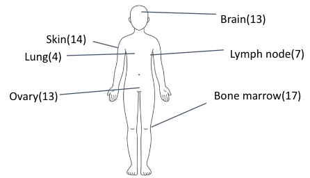 Human Body